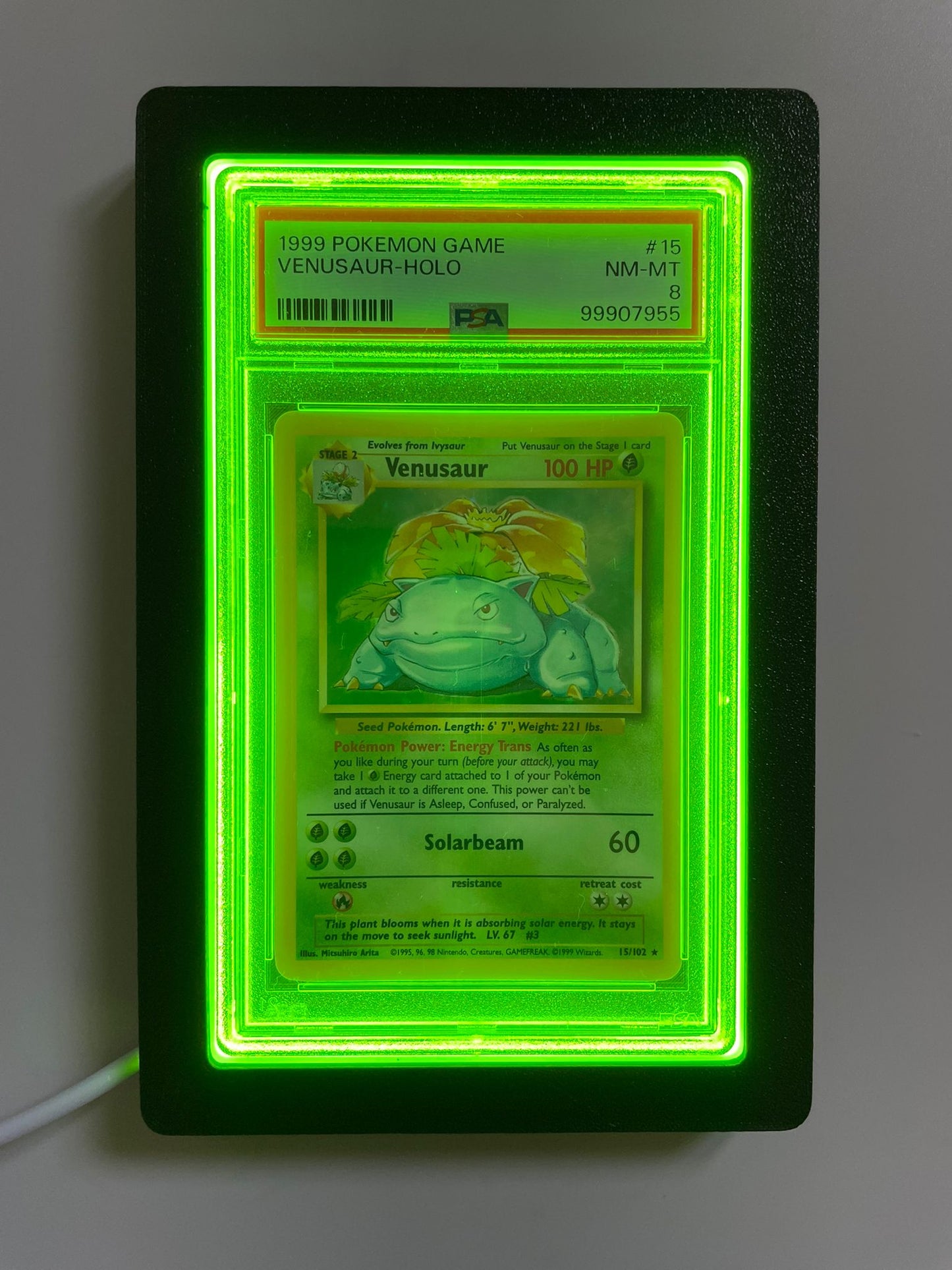 LumiSlab Graded Card Holder - Green