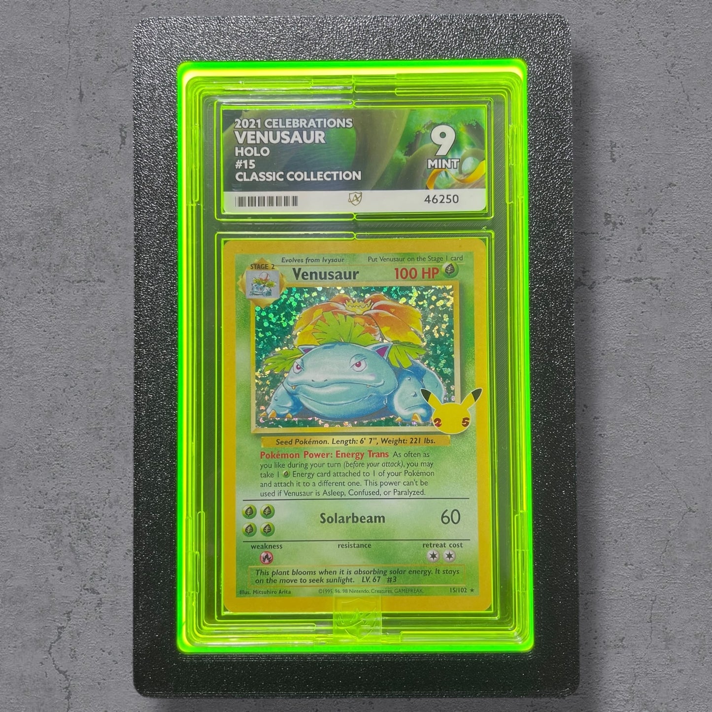 LumiSlab Graded Card Holder - Green