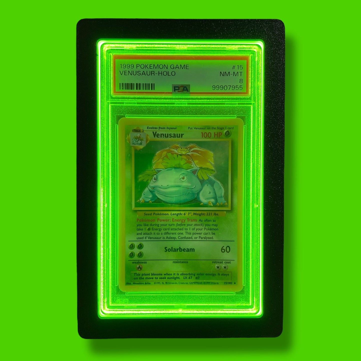 LumiSlab Graded Card Holder - Green