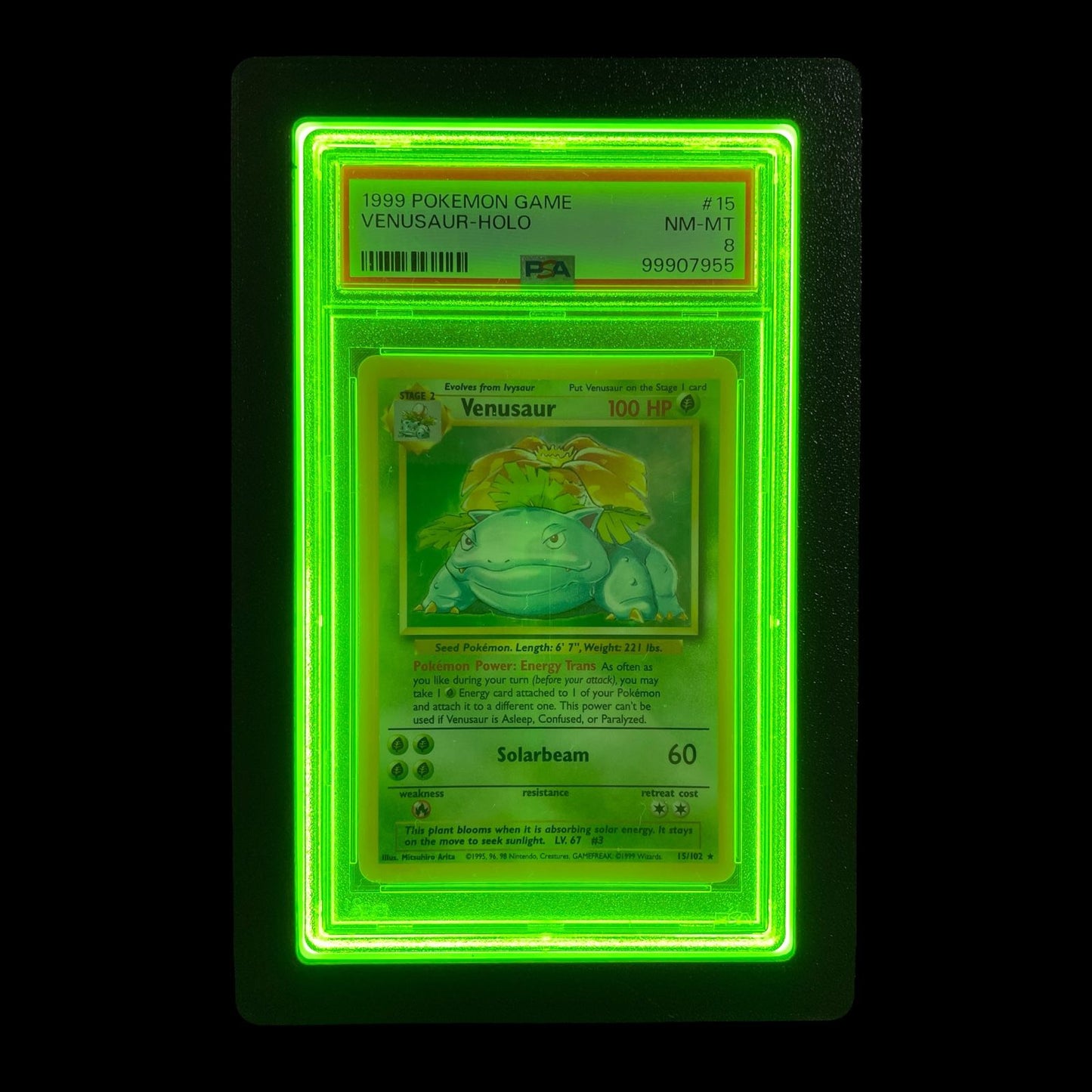 LumiSlab Graded Card Holder - Green