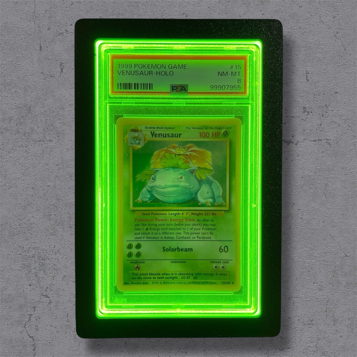 LumiSlab Graded Card Holder - Green