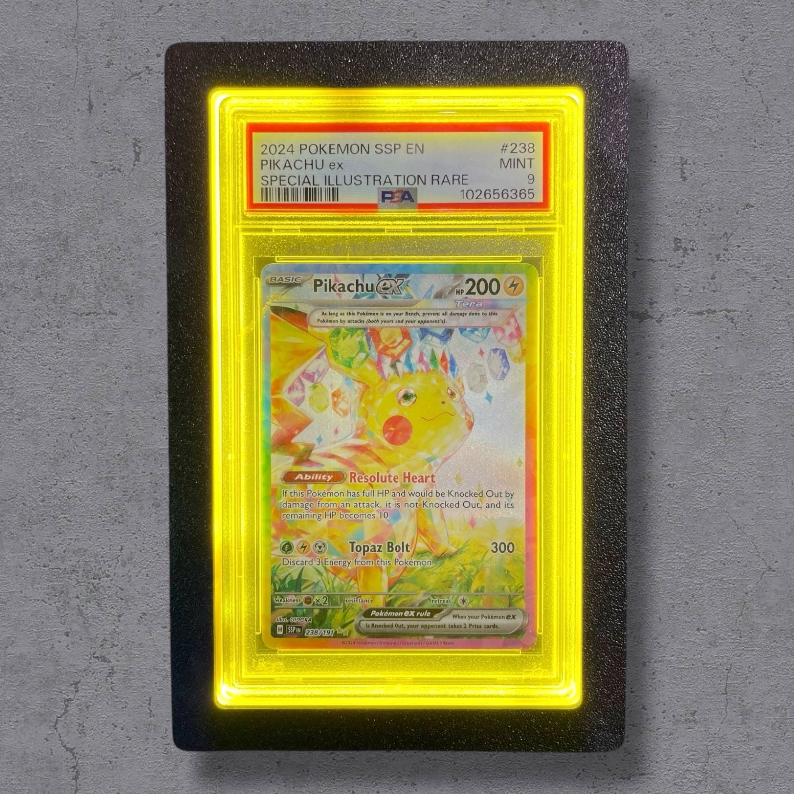 LumiSlab Graded Card Holder