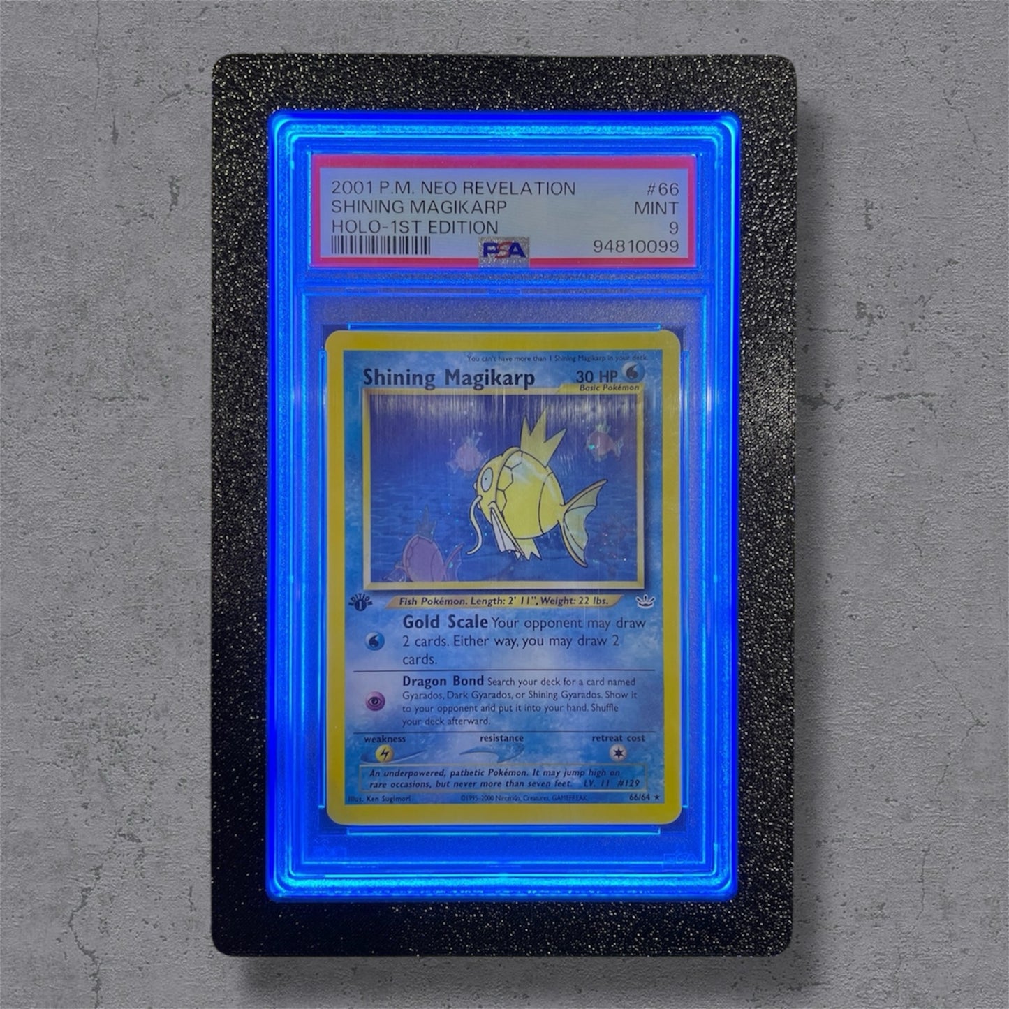 LumiSlab Graded Card Holder - Blue